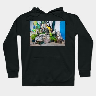 Coral Stone Street Art Hoodie